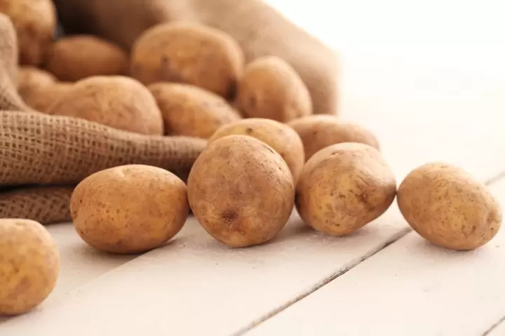 Zdjęcie: Informacja na temat obrotu sadzeniakami ziemniaka ...